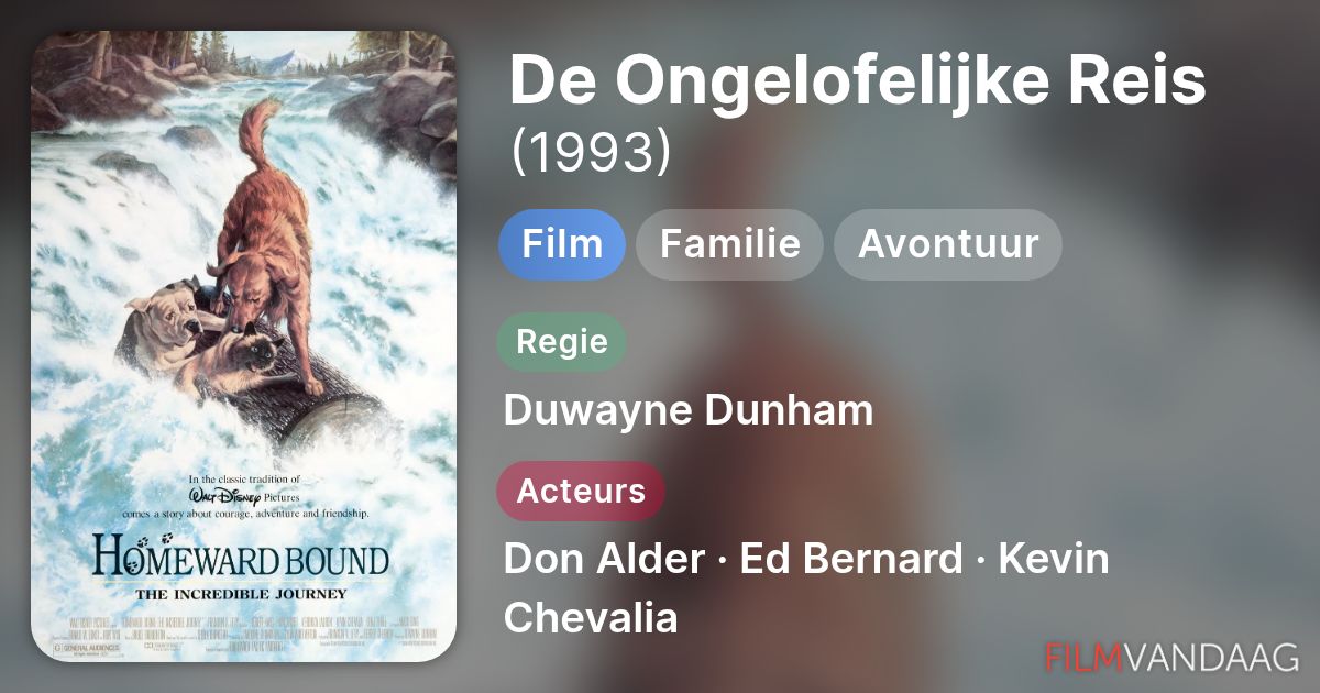 Kijk De Ongelofelijke Reis (film, 1993) Nu Online - FilmVandaag.nl