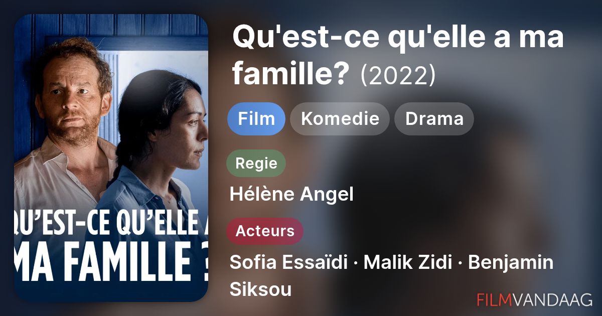 Qu'est-ce qu'elle a ma famille? (film, 2022) - FilmVandaag.nl