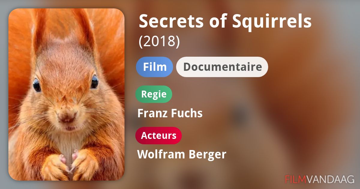 Secrets of Squirrels (film, 2018) FilmVandaag.nl