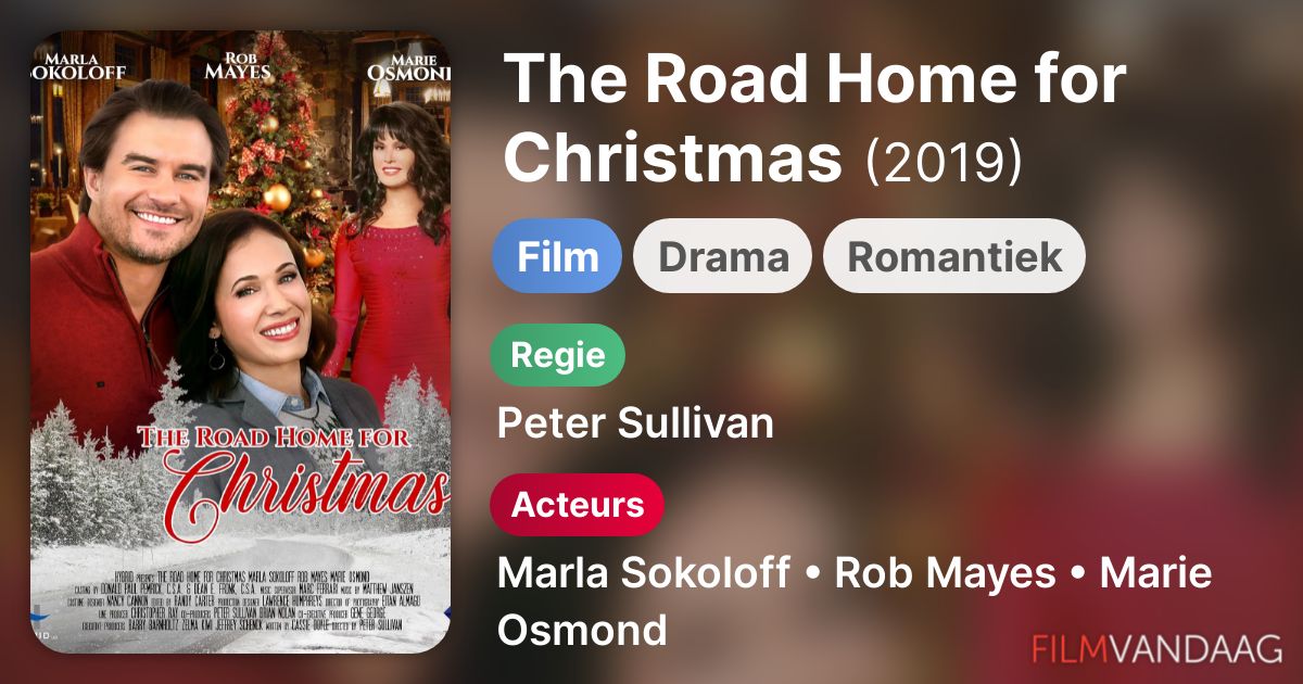 The Road Home for Christmas (film, 2019) FilmVandaag.nl