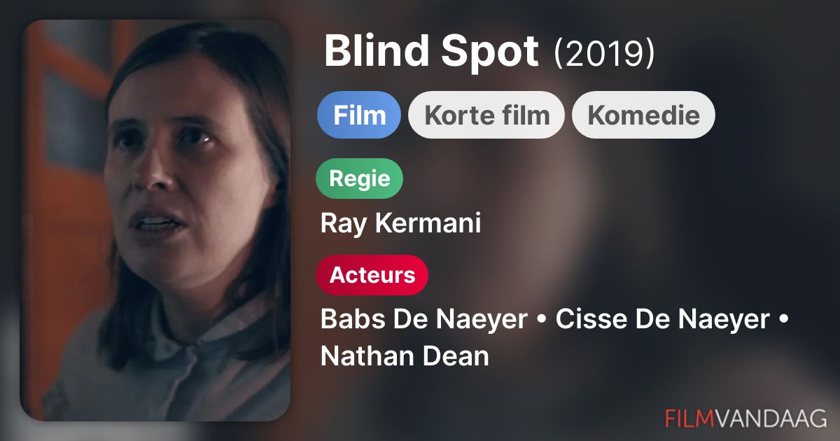 Blind Spot (film, 2019) FilmVandaag.nl