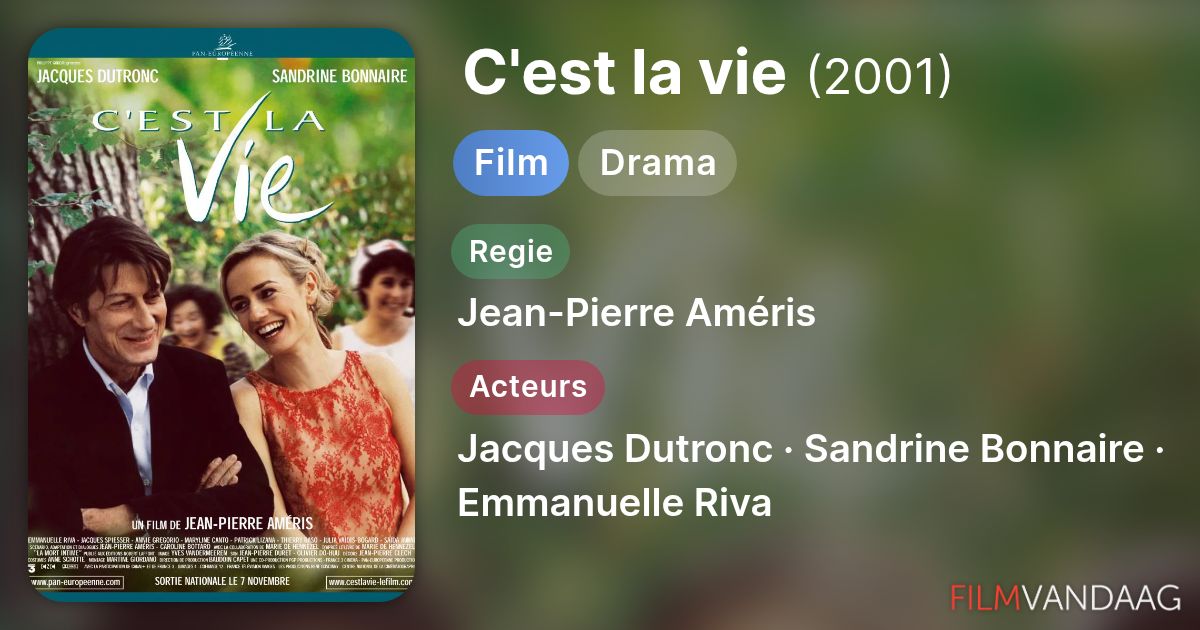 C'est la vie (film, 2001) - FilmVandaag.nl