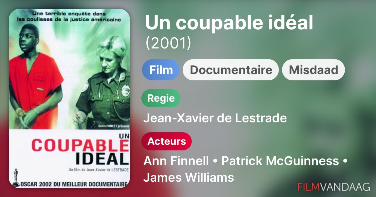 Un coupable idéal (film, 2001) FilmVandaag.nl