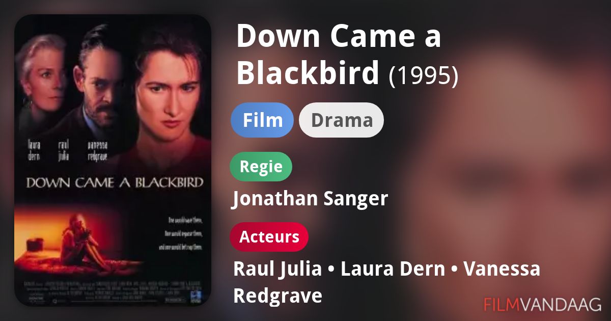 Down Came a Blackbird (film, 1995) FilmVandaag.nl