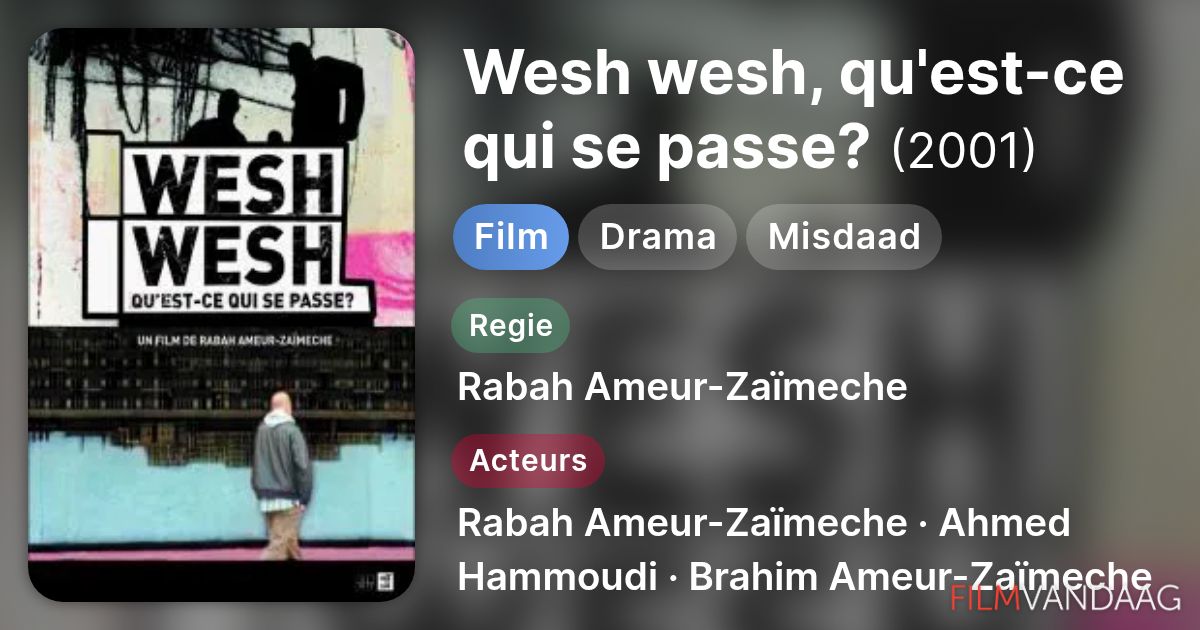 Wesh wesh, qu'est-ce qui se passe? (film, 2001) - FilmVandaag.nl