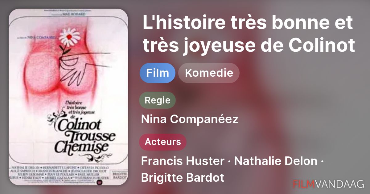 L'histoire très bonne et très joyeuse de Colinot Trousse-Chemise (film