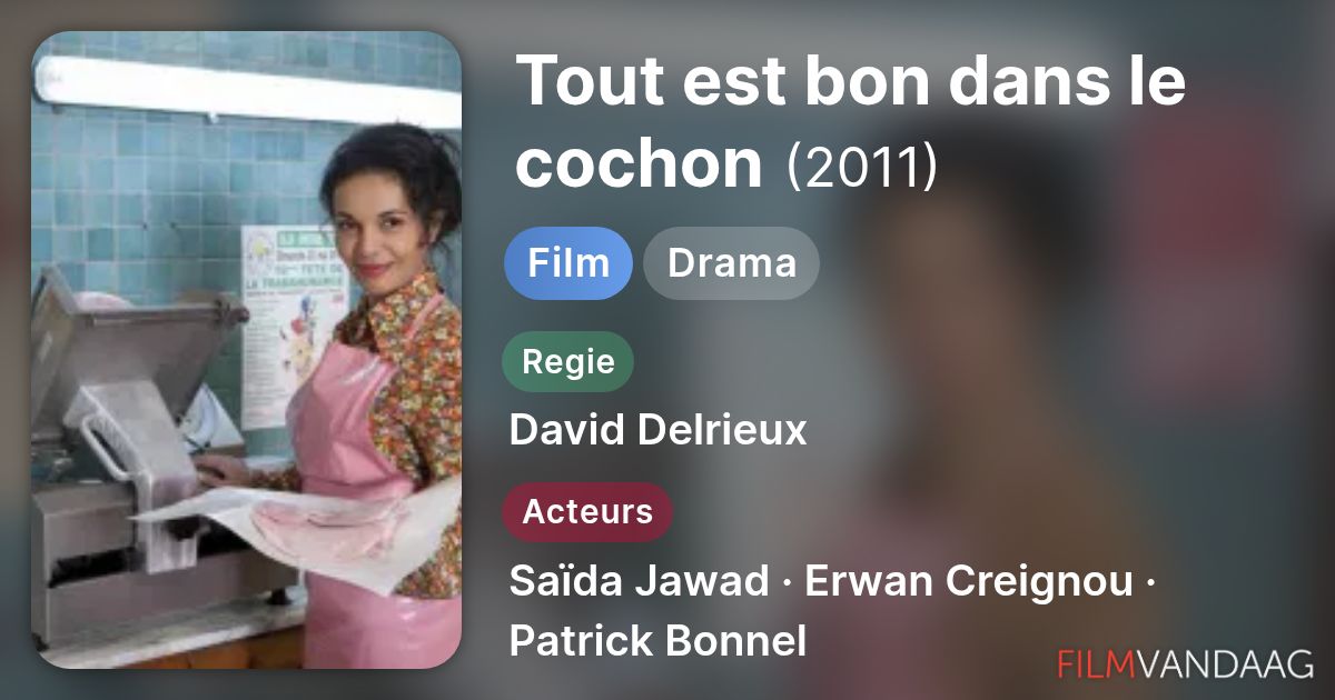 Tout est bon dans le cochon (film, 2011) - FilmVandaag.nl
