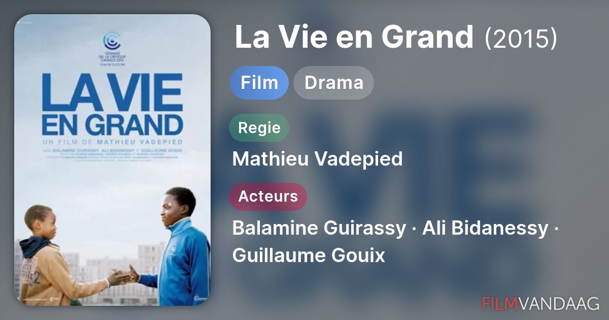 La Vie en Grand (film, 2015) - FilmVandaag.nl