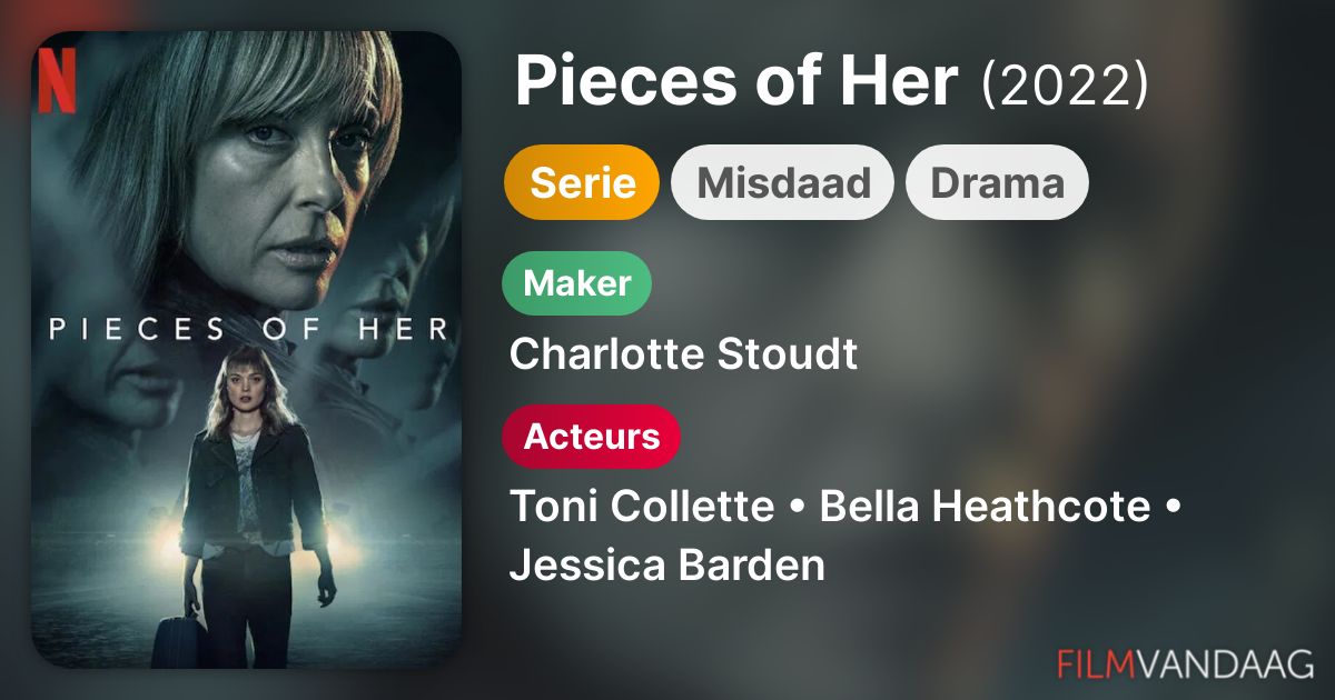 Pieces of Her (serie, 2022) FilmVandaag.nl